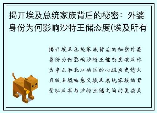 揭开埃及总统家族背后的秘密：外婆身份为何影响沙特王储态度(埃及所有总统)