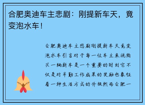 合肥奥迪车主悲剧：刚提新车天，竟变泡水车！